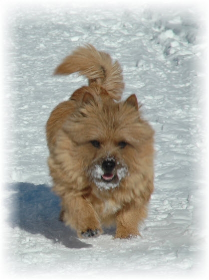 benny-2011.jpg Benny-2011.jpg